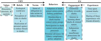 Introducing Relational Values as a Tool for Shark Conservation, Science, and Management